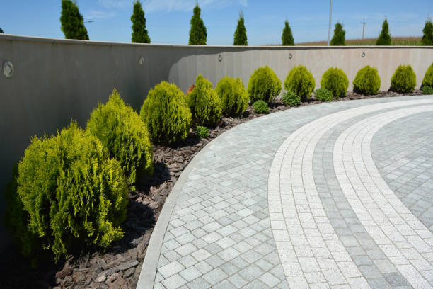 Best Driveway Pavers Contractor  in Buena Vista, MI